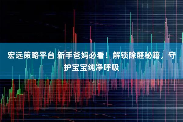 宏远策略平台 新手爸妈必看！解锁除醛秘籍，守护宝宝纯净呼吸