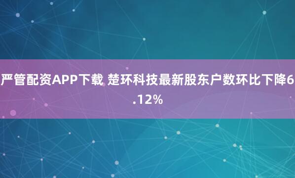 严管配资APP下载 楚环科技最新股东户数环比下降6.12%